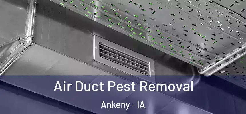  Air Duct Pest Removal Ankeny - IA