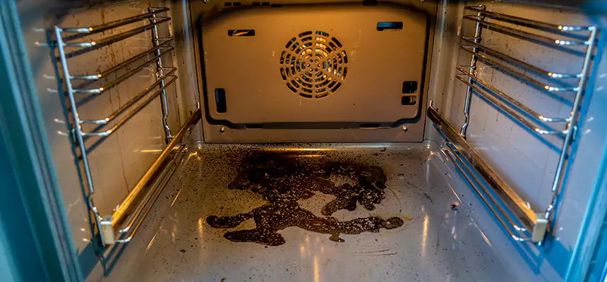 Our Dryer Vent Mold Cleaning Services in Ankeny, IA