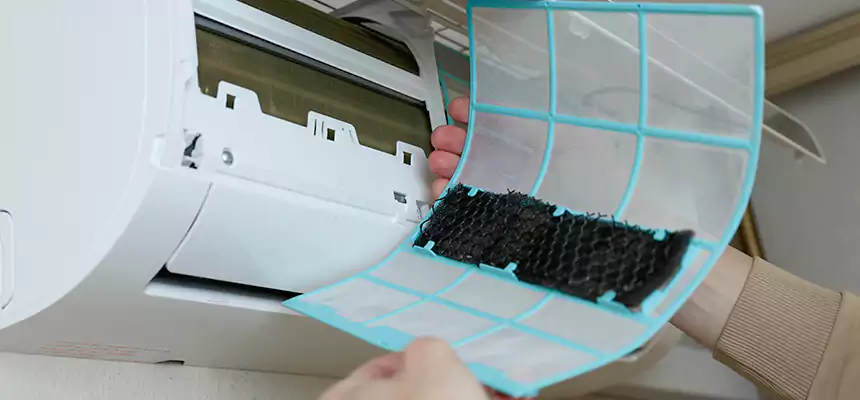 Gentle Ductwork Odor-Control Pet Dander Duct Cleaning in Ankeny, IA