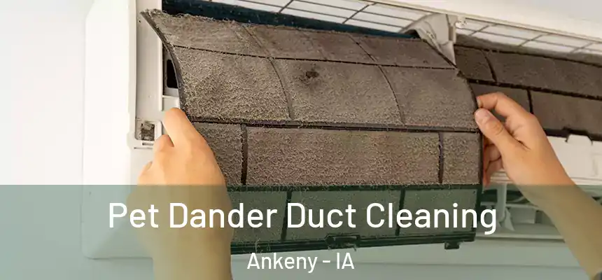  Pet Dander Duct Cleaning Ankeny - IA
