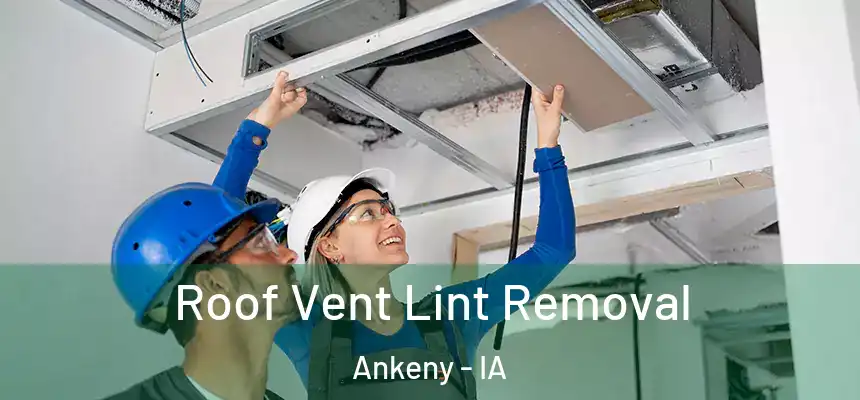  Roof Vent Lint Removal Ankeny - IA