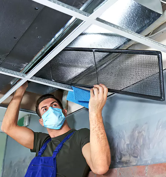 About Air Duct Bacteria Removal in Ankeny