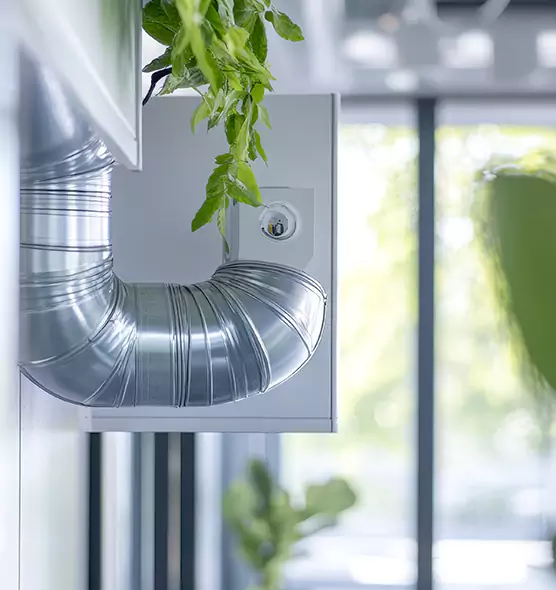 Professional Eco-Friendly Duct Cleaning Services in Ankeny, IA