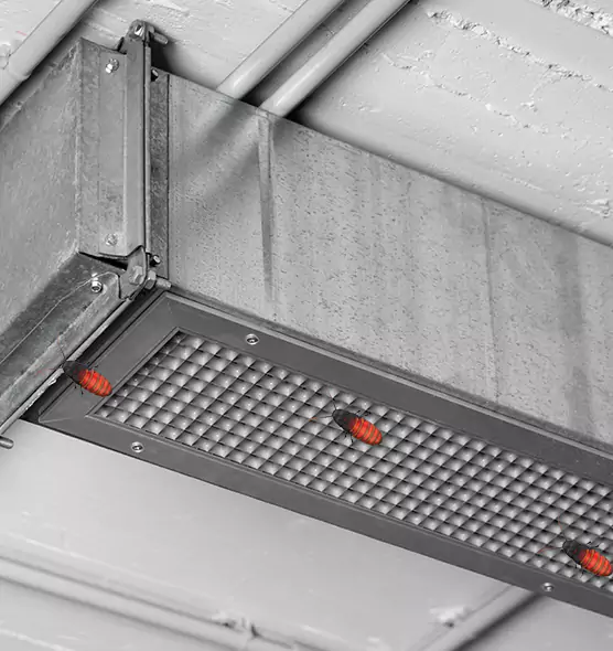 Affordable Insect Removal from Air Ducts in Ankeny, IA