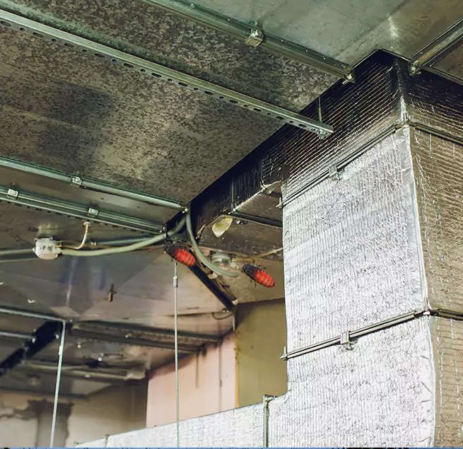 Why Homeowners & Businesses Trust Us in Ankeny, IA?