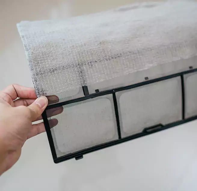 Why Homeowners & Businesses Trust Us in Ankeny, IA?