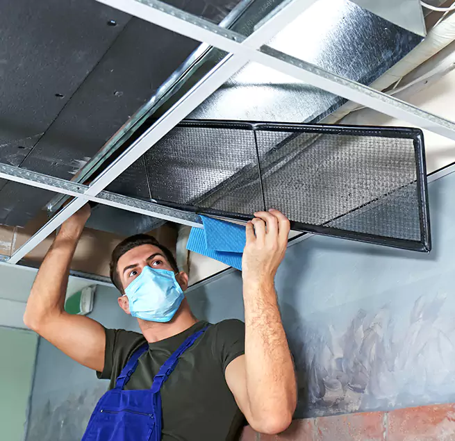  Why Homeowners Businesses Trust Us  in Ankeny, IA?